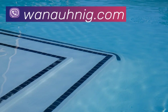 App Interface Preview